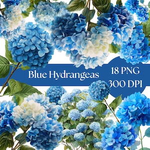 Blue Hydrangea Clipart, Watercolor Flowers, Digital Download, Floral Illustrations, Wedding Invitation Graphics, flower png, Commercial use