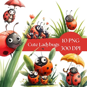 Bundle de cliparts coccinelle, jolie coccinelle aquarelle PNG pour décoration de chambre d'enfant, téléchargement numérique pour créations enfants, graphiques d'insectes, clipart coccinelle