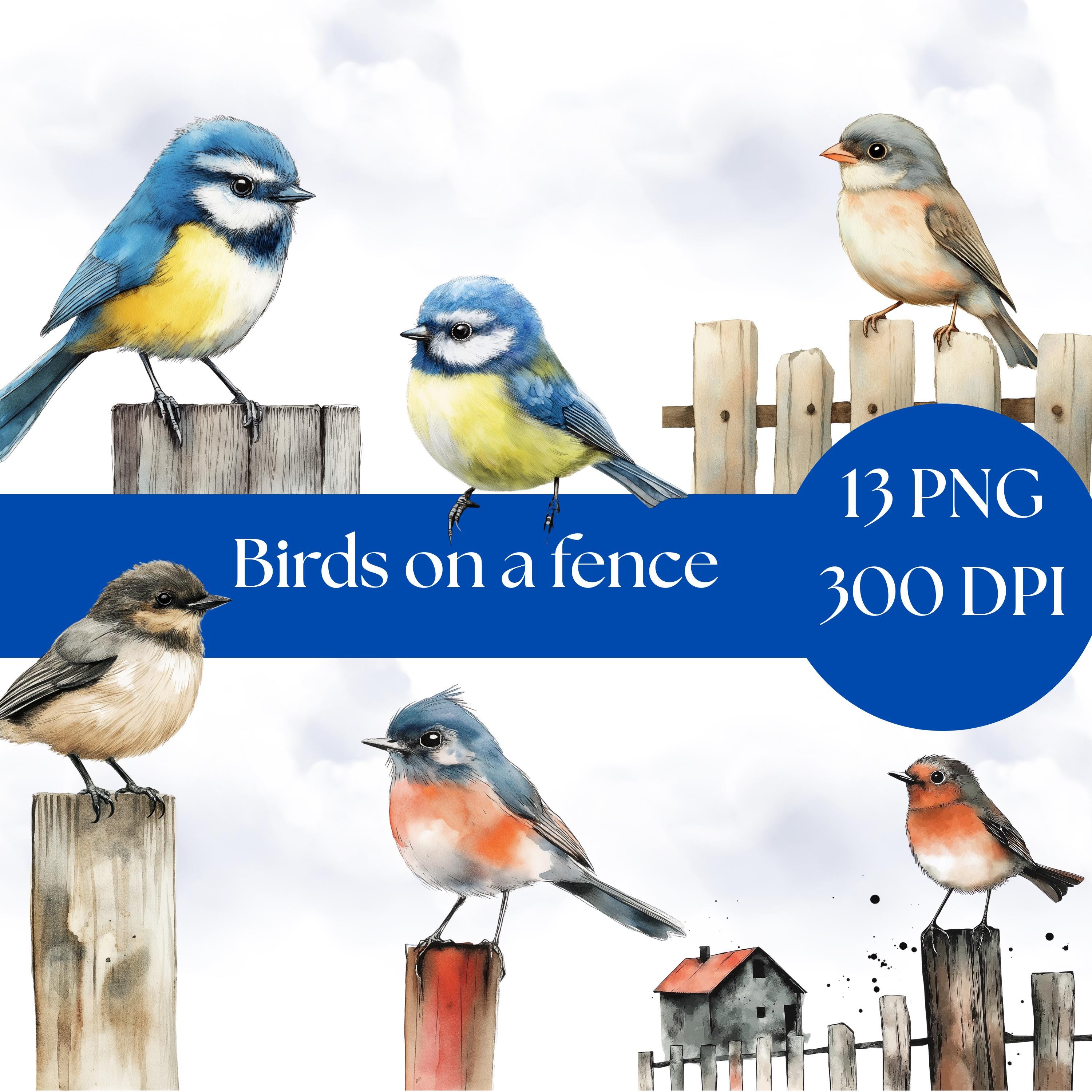 Birds on a Fence Clipart, Watercolor Bird Art, Digital Download for Scrapbooking, Crafting, and Journaling and card making, commercial use