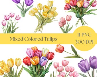 Watercolor Tulip Clip Art: Spring Floral PNG (Digital Download)