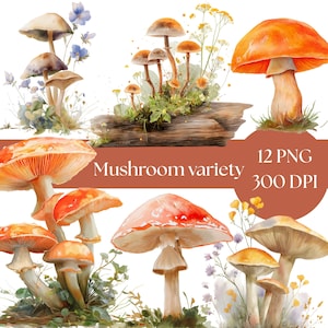 Mushroom Clipart Bundle, Cute Watercolor Fungi Illustrations, Digital Download for Scrapbooking & Crafts, commercial use PNG, toadstools