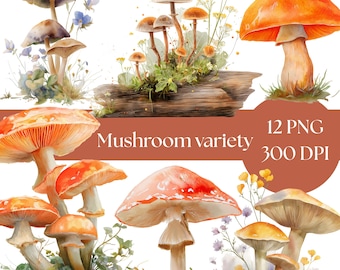 Mushroom Clipart Bundle, Cute Watercolor Fungi Illustrations, Digital Download for Scrapbooking & Crafts, commercial use PNG, toadstools