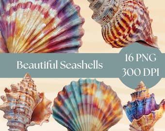 Muschel Clipart Bundle: Aquarell Meer & Strand Designs (Digitaler Download, PNG)
