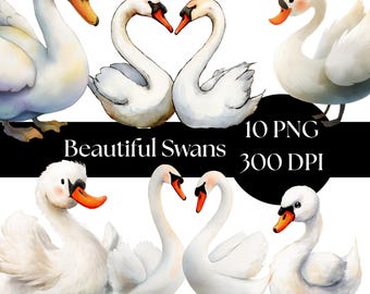 Swan Clipart, Watercolor Swan Illustrations, Digital Download PNG, Printable Art for Crafts, Commercial Use, nursery decor bird graphics