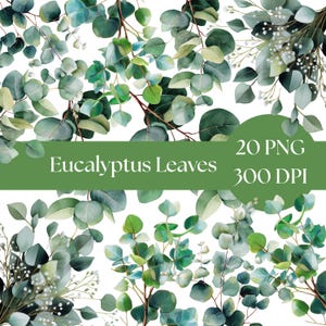 Eucalyptus Clipart, Watercolor Greenery Elements, Wedding Invitation PNG, Floral Clipart, Digital Art Bundle, junk journal graphics