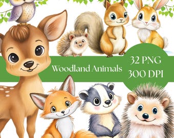 Może przedstawiać: Kolorowa ilustracja leśnych zwierząt z kreskówek, w tym jelenia, sowy, wiewiórki, królika, lisa, borsuka i jeży. Obraz zawiera tekst "Woodland Animals", "32 PNG" i "300 DPI" na zielonym banerze. Zwierzęta są w stylu kreskówkowym.