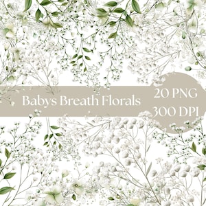 Clip Art di respiro del bambino, PNG floreale ad acquerello, download digitale di respiro del bambino, clipart di invito a nozze, uso commerciale, gypsophila bianca