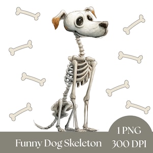 Dog Skeleton Clipart, Funny Halloween Dog Art, Digital Download, Skeleton Pet Graphic, SVG for Crafts, spooky images, animal graphics PNG