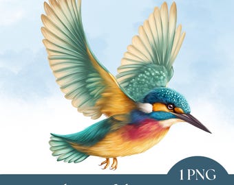Akwarelowy clipart zimorodka: grafika ptaka do druku (pobranie cyfrowe)