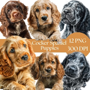Cocker Spaniel Clipart, Adorable Puppy Art, Watercolor PNG, Instant Download, Crafting Supplies for Dog Lovers, animal png, commercial use
