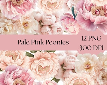 Blush Peony Clipart, Watercolor Floral Elements, Wedding Bouquets, DIY Craft Supplies, Commercial Use Graphics, pale pink florals weddings