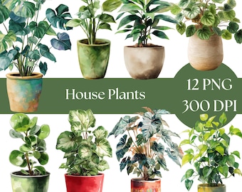ClipArt di piante da appartamento ad acquerello: piante grasse in vaso (download digitale PNG per uso commerciale)