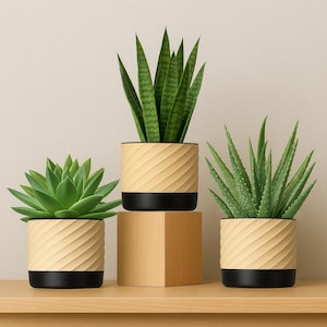 Set of 3 Decorative Plant Pots Modern 3D Printed Planter Set