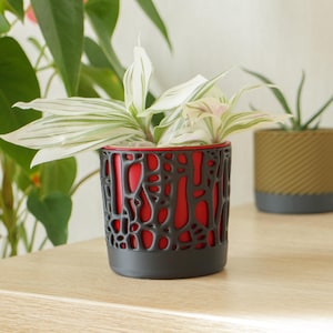 May include: A decorative plant pot with a black, openwork design over a red interior. The pot is filled with a plant with white and green striped leaves. The base of the pot is black. Another plant pot is visible in the background.