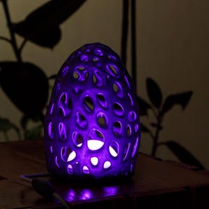 Modern 3D Printed LED Lamp – Organic Coral Design Night Light with Remote, USB Powered