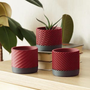 Set of 3 Flower Pot for Plants – Mini Planter – Modern 3D Printed Pots for Succulents - original gift