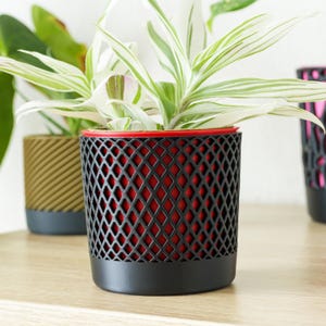 Könnte beinhalten: Ein schwarzer und roter Blumentopf mit Rautenmuster, der eine grün-weiße Pflanze enthält. Der Topf hat einen schwarzen Sockel und einen roten Rand. Im Hintergrund ist ein weiterer Blumentopf mit grünem und grauem Farbschema zu sehen.