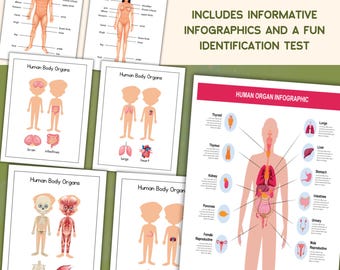 Anatomy 101 Coloring Pages for Kids Human Body Organs Educational Printable Activity PreK Homeschool Resource