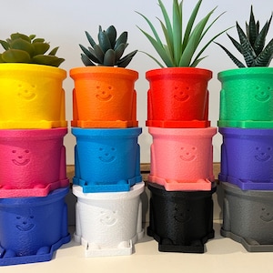 Funny 3D gedruckter Blumentopf / Übertopf, neue Farben! , passend für zb IKEA 6cm und 9cm Kunstblumen. Schreibtisch Dekoration für Stifte