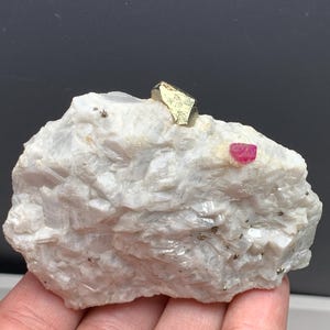 Pode incluir: Formação rochosa branca e áspera com um cristal dourado e metálico e um pequeno cristal vermelho incrustado. A rocha tem uma superfície texturizada, mostrando um espécime mineral.
