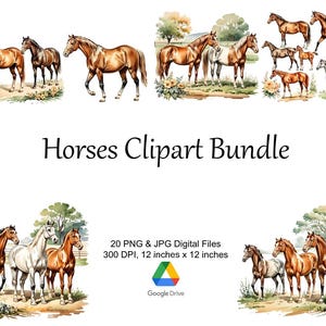 Horse Clipart, 20 PNG Bundle, Horse Lover Gift, Watercolor Clipart, Digital Download