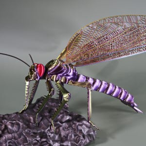 Ważka Meganeura gigantyczna prehistoryczna