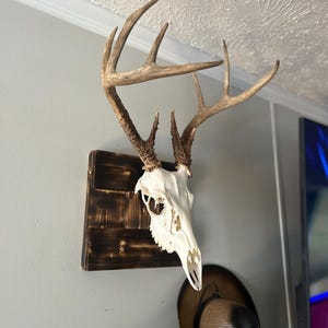 Euro Mount plaques