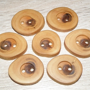 Large 7 Handmade plum wood Tree Branch Buttons, accessories (1,42&quot; diameter x 0,28&quot; thick)