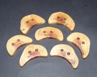 Large 7 Handmade plum wood Tree Branch Buttons , accessories (0,98"- 1,97" diameter x 0,28" thick)
