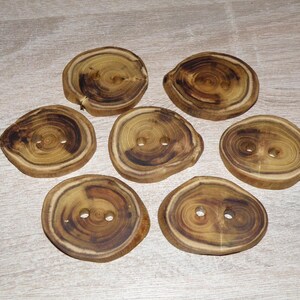 Peut inclure: Sept boutons en bois à l'esthétique naturelle et organique. Chaque bouton est une tranche circulaire de bois, mettant en valeur les cernes de croissance de l'arbre dans des tons bruns et beiges. Les boutons ont deux trous pour la couture.
