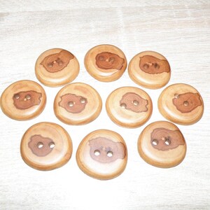 Può includere: Dieci bottoni in legno con finitura a grana di legno naturale. I bottoni sono rotondi e hanno due fori ciascuno. I bottoni sono di colore marrone chiaro con accenti marrone scuro.
