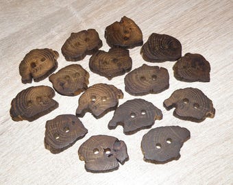 Large 15 Handmade oak wood Tree Branch Buttons , accessories (1,1"-1,37"diameter x 0,28" thick)