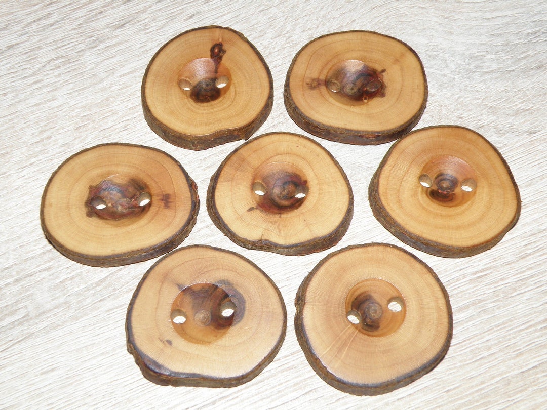 Large 7 Handmade Plum Wood Tree Branch Buttons With Bark, Accessories ...