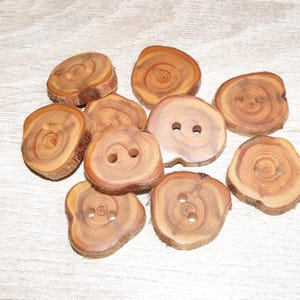 Könnte beinhalten: Eine Sammlung von zehn runden Holzknöpfen aus natürlichen Baumzweigscheiben. Jeder Knopf zeigt sichtbare braune Holzmaserungsringe und Rindenkanten. Mehrere Knöpfe verfügen über zwei kleine Löcher in der Mitte zur Befestigung.