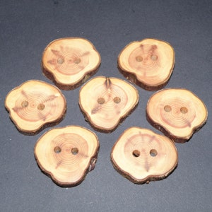 Large 7 Handmade juniper wood Tree Branch Buttons  , accessories (1,3" diameter x 0,24" thick)