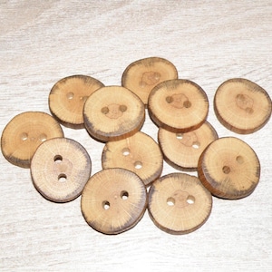 Könnte beinhalten: Eine Ansammlung von zwölf runden, hellbraunen Holzknöpfen, die jeweils eine natürliche Holzmaserung und zwei mittige Löcher zur Befestigung aufweisen. Die Knöpfe haben eine flache, kreisförmige Form mit sichtbaren Rindenrändern und natürlicher Textur.