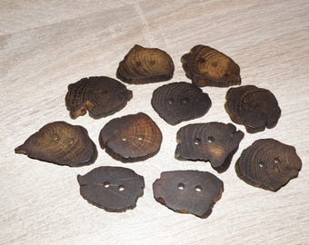 Large 11 Handmade oak wood Tree Branch Buttons , accessories (1,57"diameter x 0,28" thick)