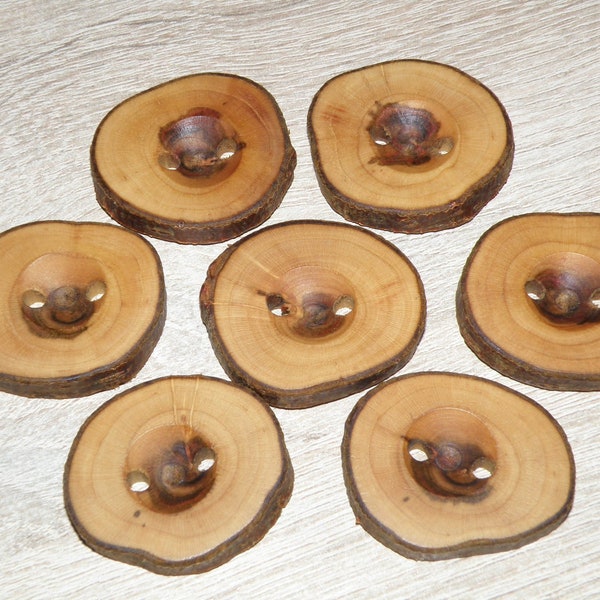 Large 7 Handmade plum wood Tree Branch Buttons with Bark, accessories (1,5" diameter x 0,20" thick)