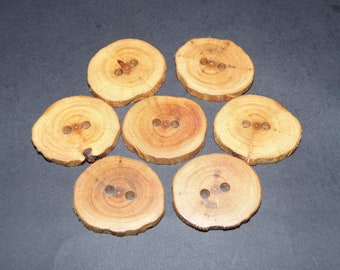 Large 7 Handmade plum wood Tree Branch Buttons , accessories (1,57" diameter x 0,24" thick)