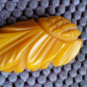 Bakelite butterscoth Dress Clip