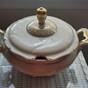 Vintage Rare Rosenthal rose China Soup tureen dish made in Germany made in US