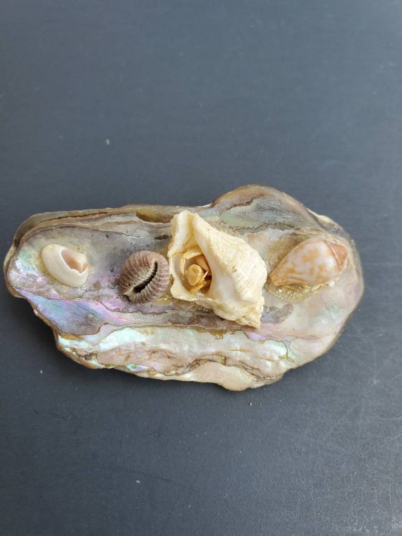 Vintage Pearl shell pin / brooch - image 9