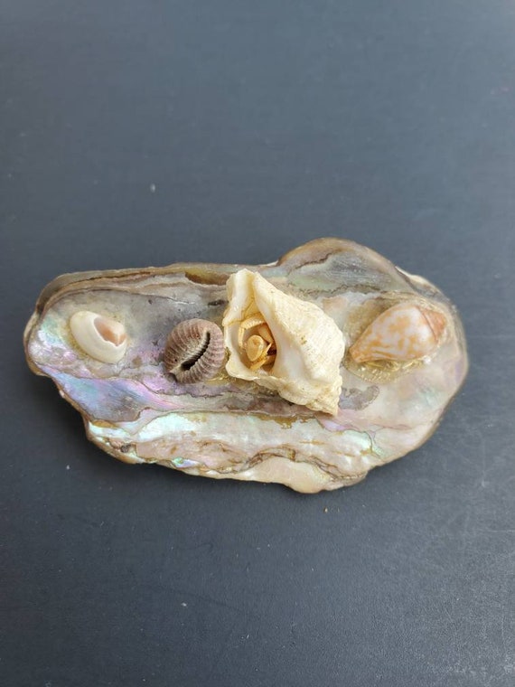 Vintage Pearl shell pin / brooch - image 8