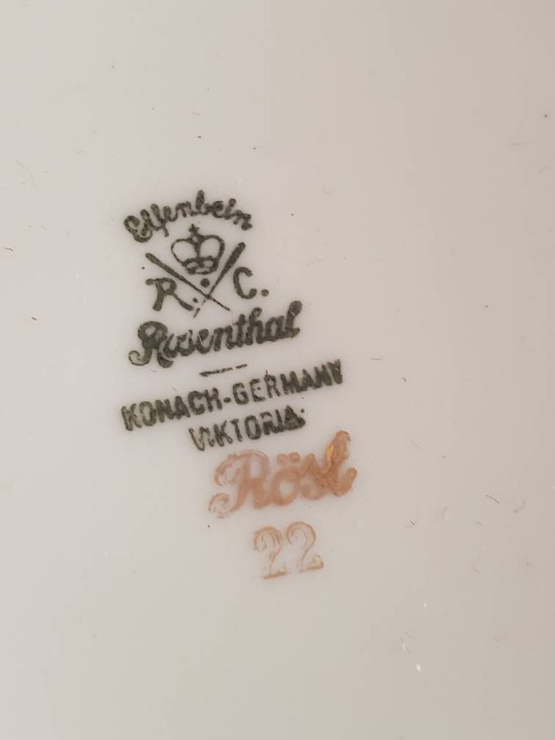 Vintage Rosenthal Rose China Dish Coffeepot Made in Germany Etsy