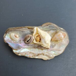 Vintage Pearl shell pin / brooch