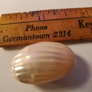 Antique Mother of pearl BUTTON button 3 D