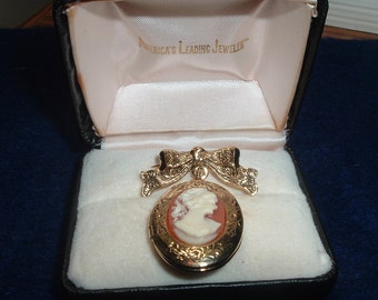 Lovely Cameo Pinback Brooch With Jewelers Box