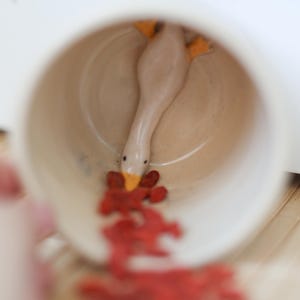 Puede incluir: Una taza de cer&aacute;mica blanca con una peque&ntilde;a figurita de ganso de cer&aacute;mica en su interior. El ganso est&aacute; sacando la cabeza de la taza y tiene el pico abierto. Hay bayas de goji rojas esparcidas alrededor de la taza.
