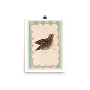 Happy Playful Coturnix English Common UK Quail Pattern Boarder Illustration Drawing Art Print Poster Design