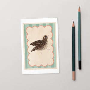 Happy Playful Coturnix English Common UK Quail Pattern Boarder Illustration Drawing Standard Postcard Art Print